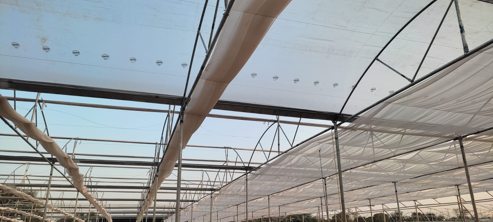 Greenhouse Project 45